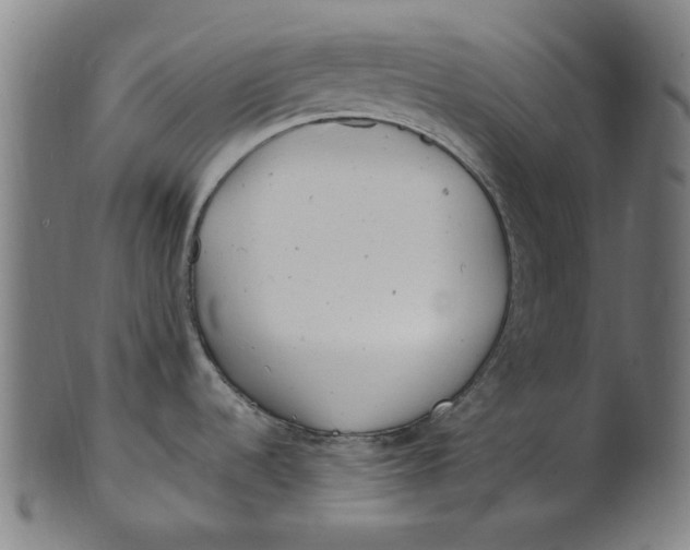 X0000100881536200807111330