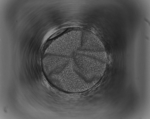 X0000100880004200807181310