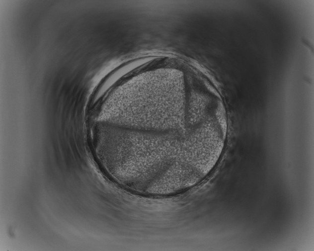 X0000100880008200807181310