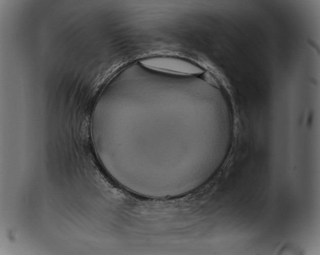 X0000100880009200807181310