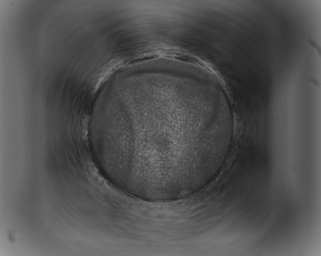 X0000100880010200807181310