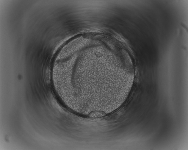 X0000100880012200807181310