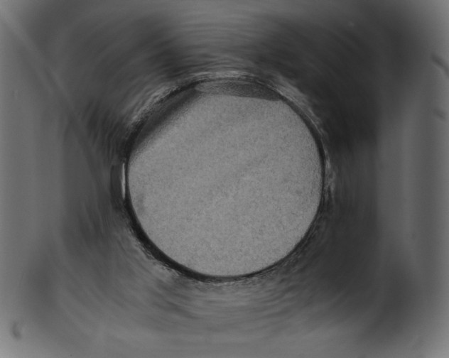 X0000100880013200807181310