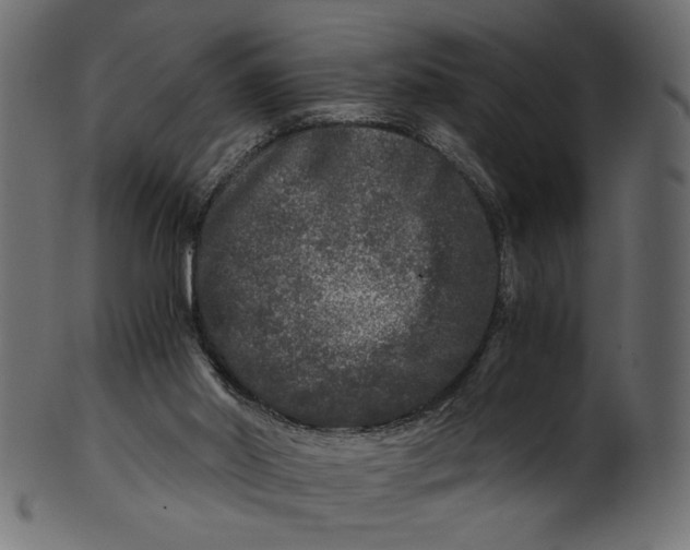 X0000100880014200807181310