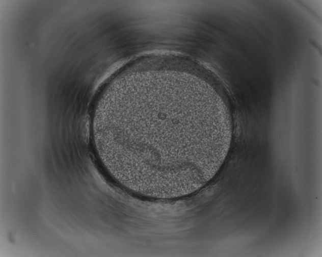 X0000100880016200807181310