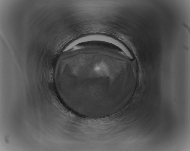 X0000100880017200807181310