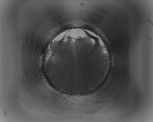 X0000100880018200807181310