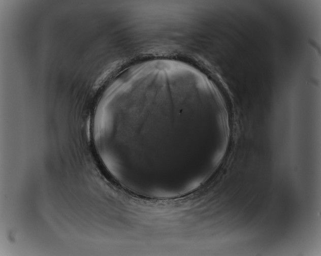 X0000100880019200807181310