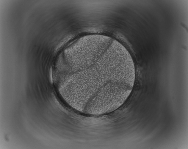 X0000100880020200807181310