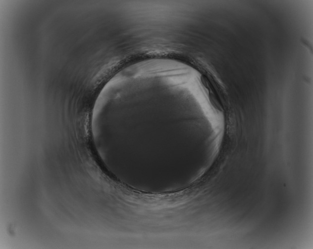 X0000100880023200807181309