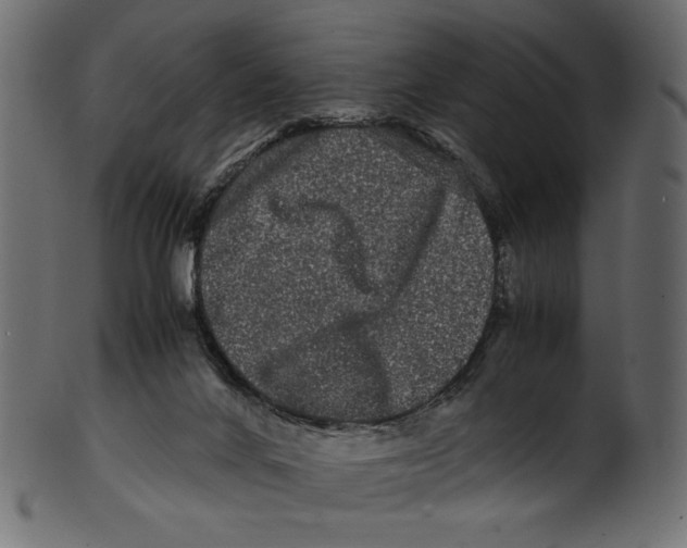 X0000100880024200807181309