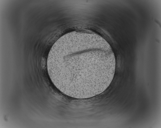 X0000100880025200807181309