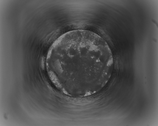 X0000100880026200807181309