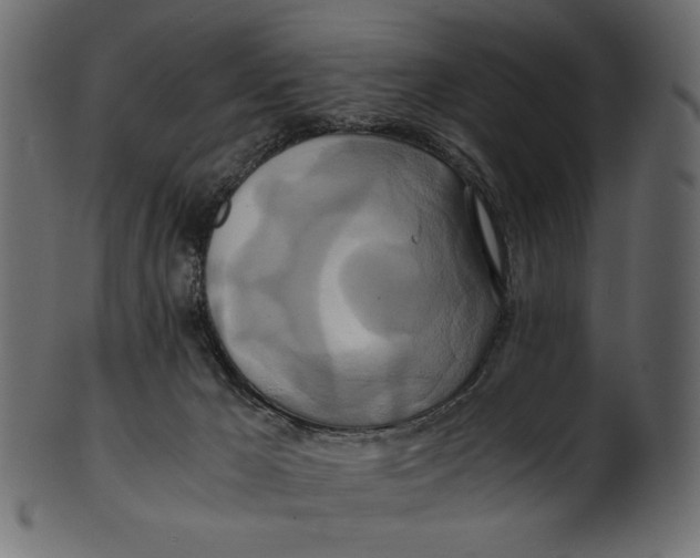 X0000100880029200807181309