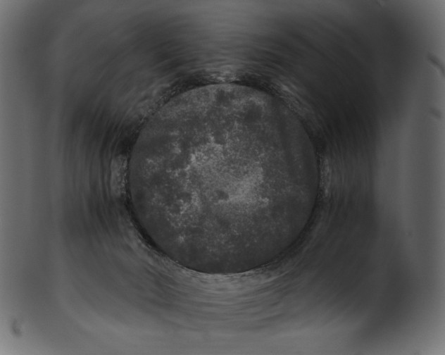 X0000100880030200807181309