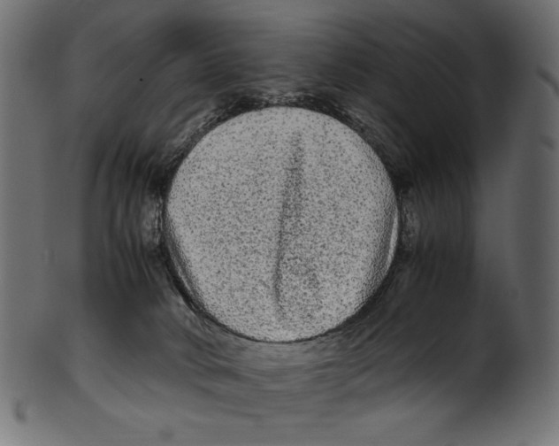 X0000100880034200807181309