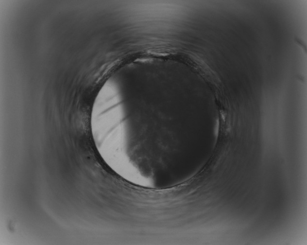 X0000100880035200807181309