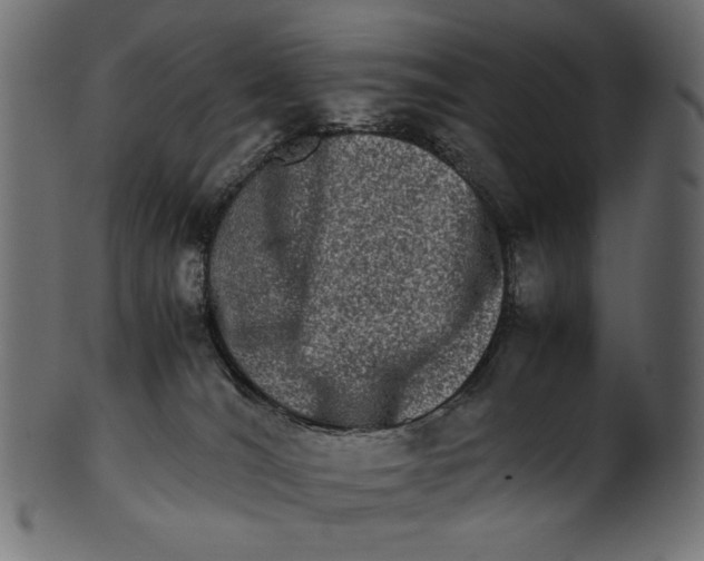 X0000100880036200807181309