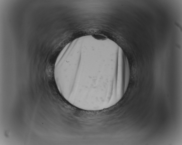 X0000100880037200807181309