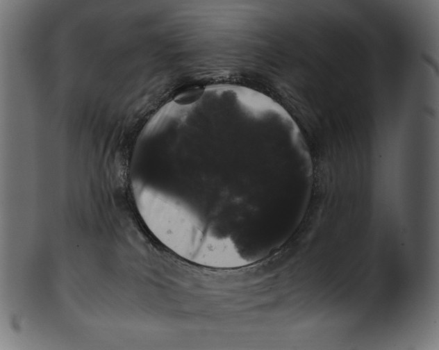 X0000100880039200807181309