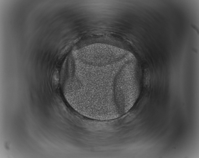 X0000100880040200807181309