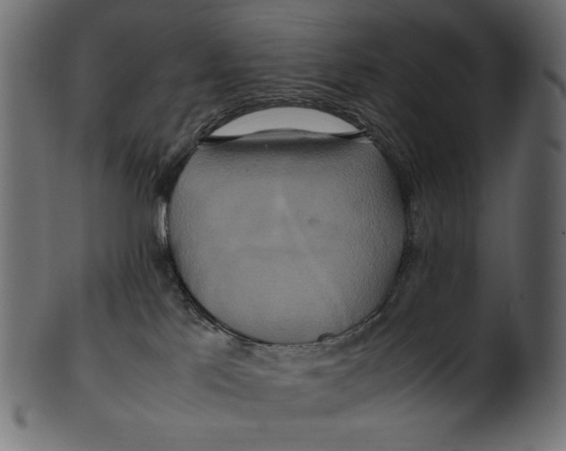 X0000100880041200807181309