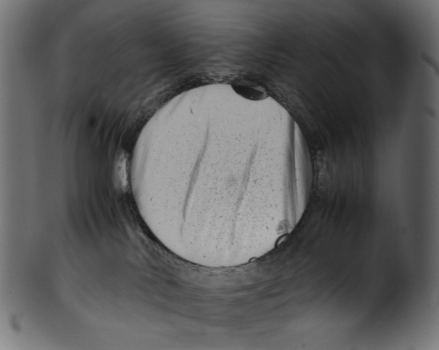 X0000100880042200807181309