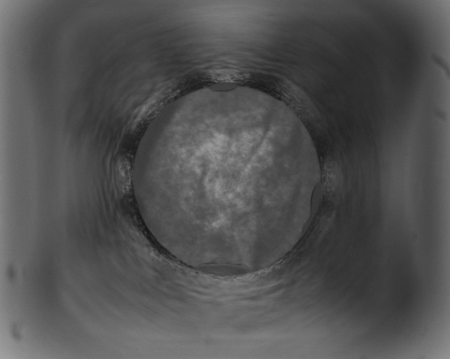 X0000100880043200807181309