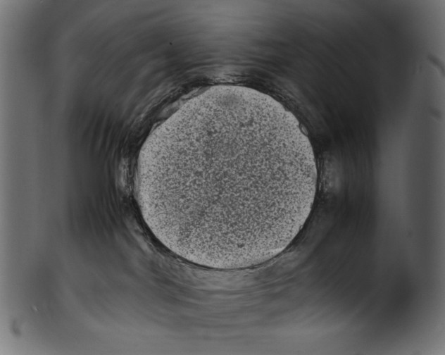 X0000100880044200807181309