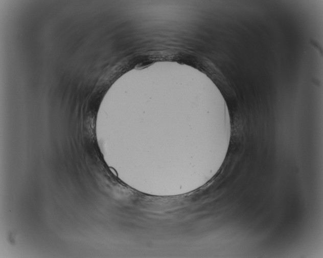 X0000100880045200807181309