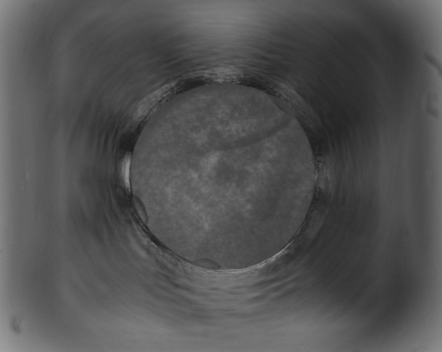 X0000100880047200807181309