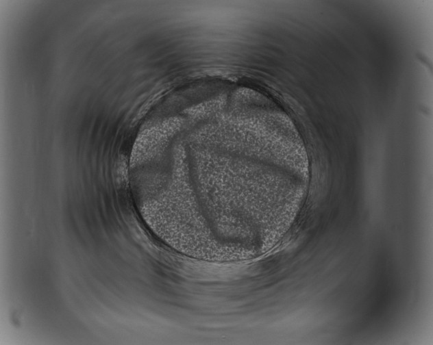 X0000100880048200807181309