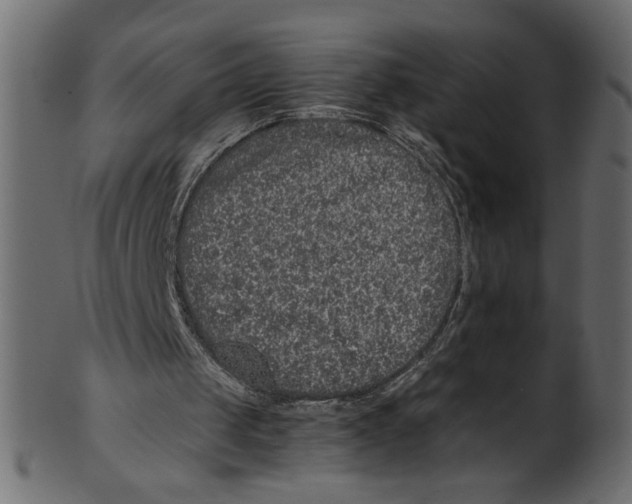 X0000100880049200807181308