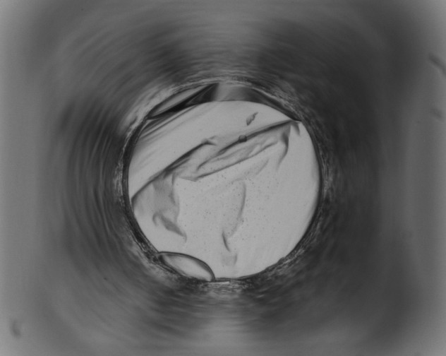 X0000100880050200807181308