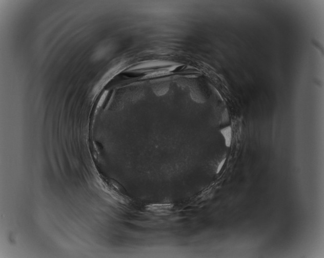 X0000100880051200807181308