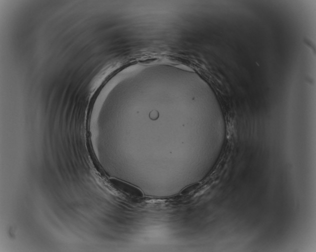 X0000100880052200807181308