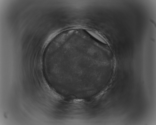 X0000100880055200807181308