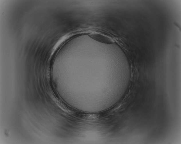 X0000100880056200807181308