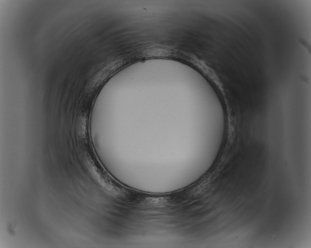 X0000100880057200807181308