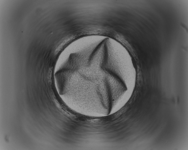 X0000100880058200807181308