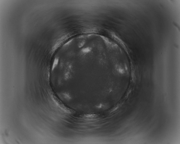 X0000100880059200807181308