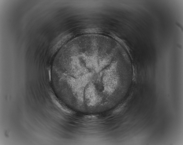 X0000100880061200807181308