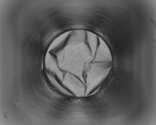 X0000100880062200807181308