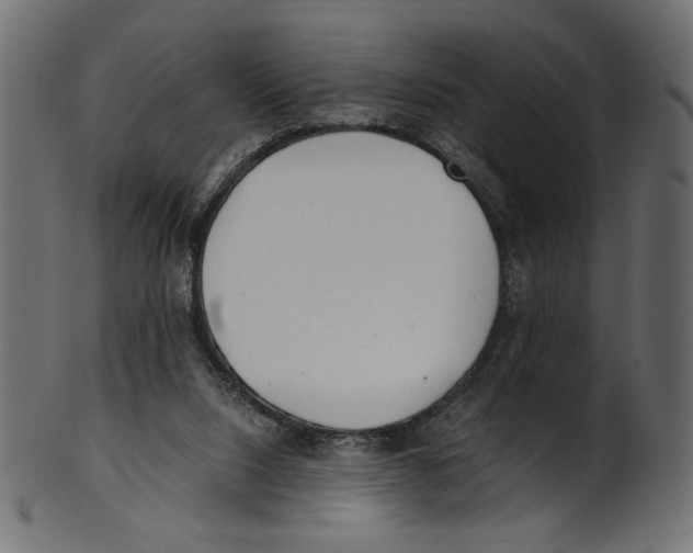 X0000100880064200807181308