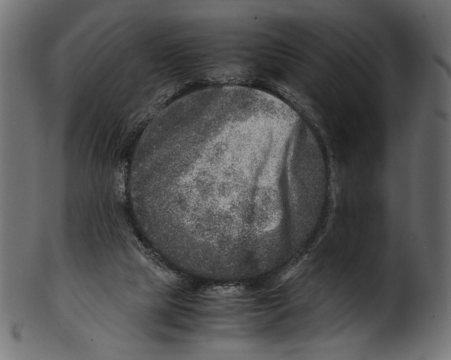 X0000100880065200807181308