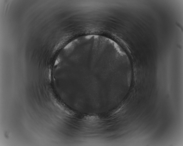 X0000100880067200807181309