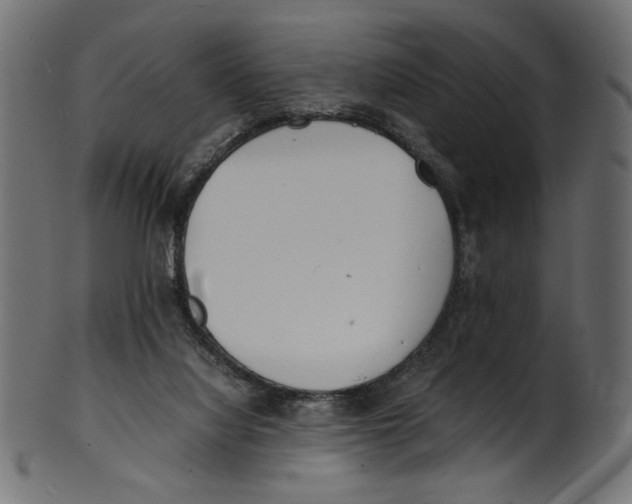 X0000100880068200807181309