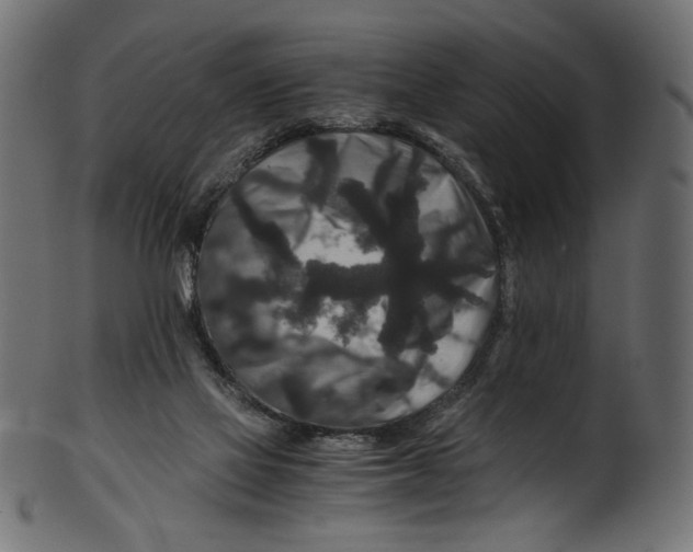 X0000100880069200807181309