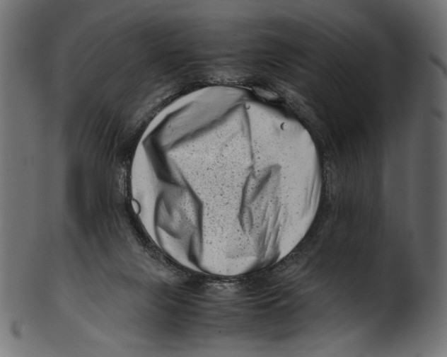 X0000100880071200807181309