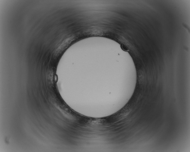 X0000100880072200807181309